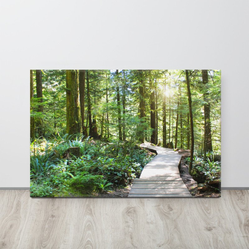 Path Through the Forest | Canvas Print