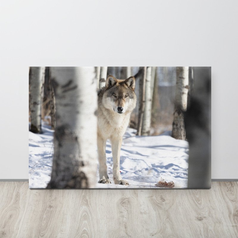 Wolf in the Trees | Canvas Print