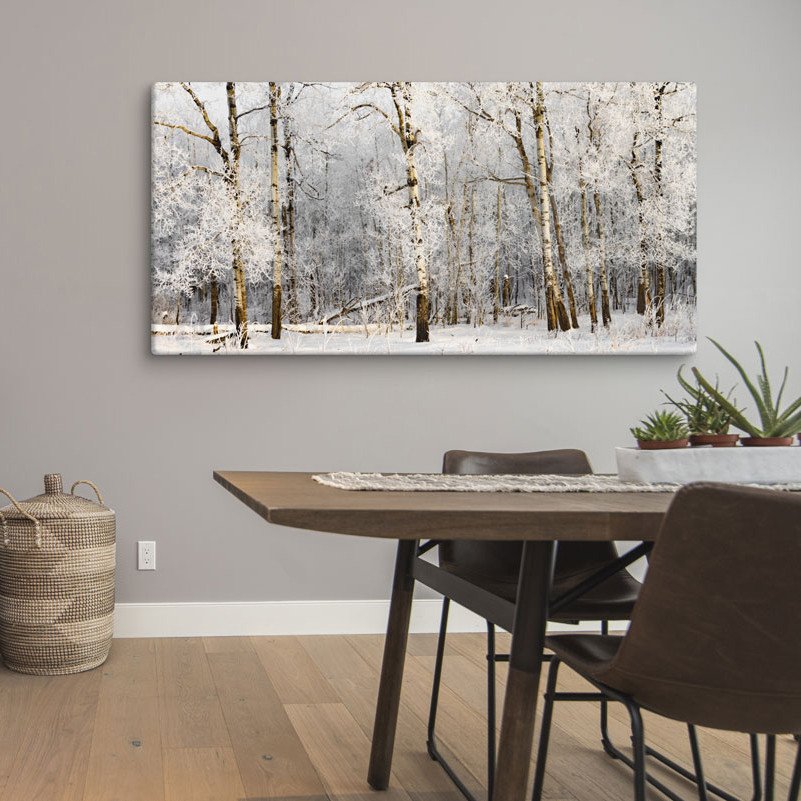 Winter Birch Trees Covered in Hoar Frost | Canvas Print