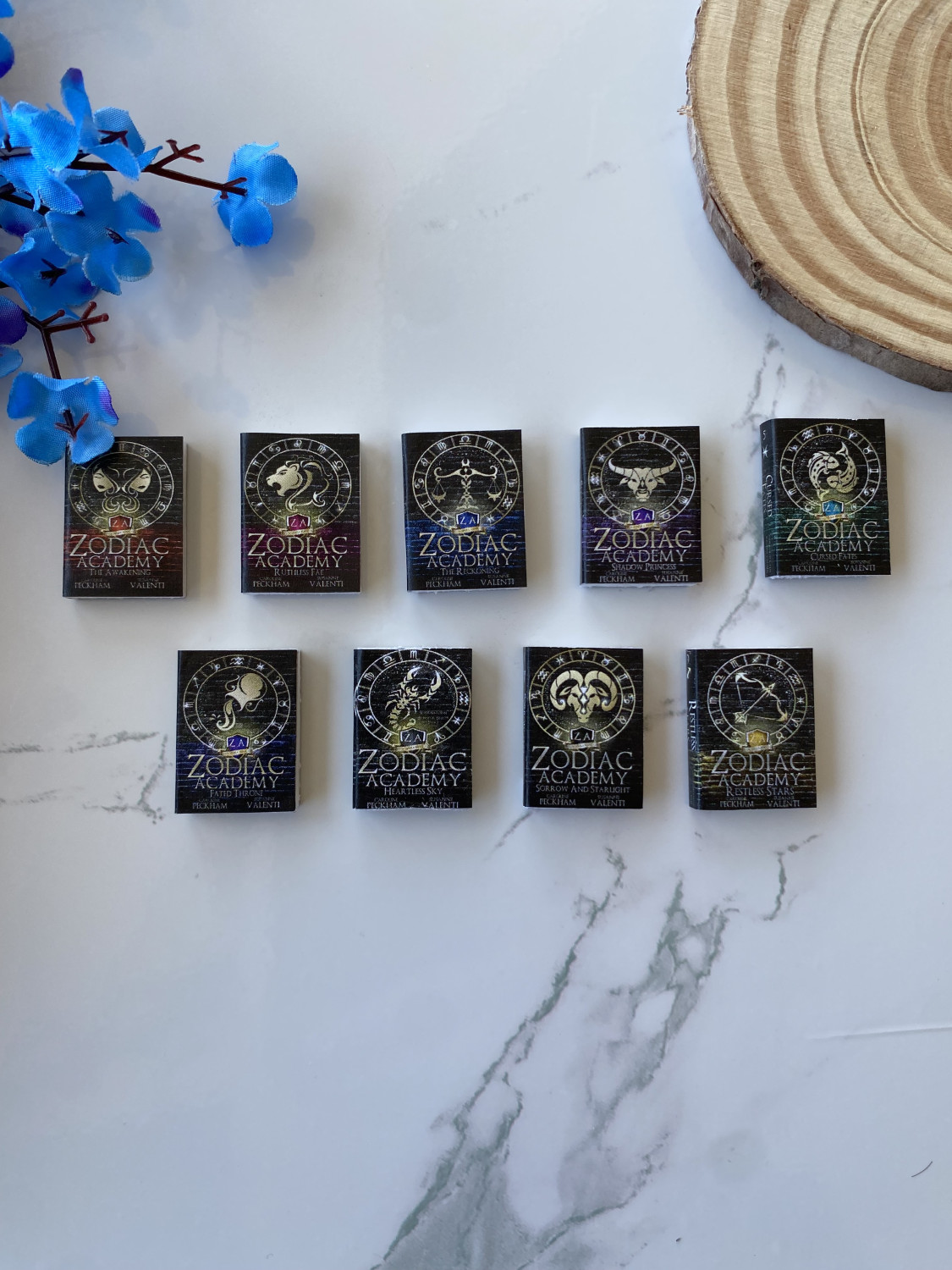 zodiac academy mini book set