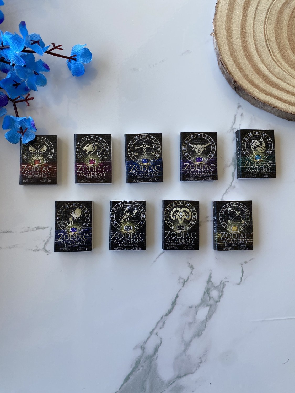 zodiac academy mini book set