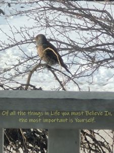 Believe In Yourself | Original Work | Digital Download