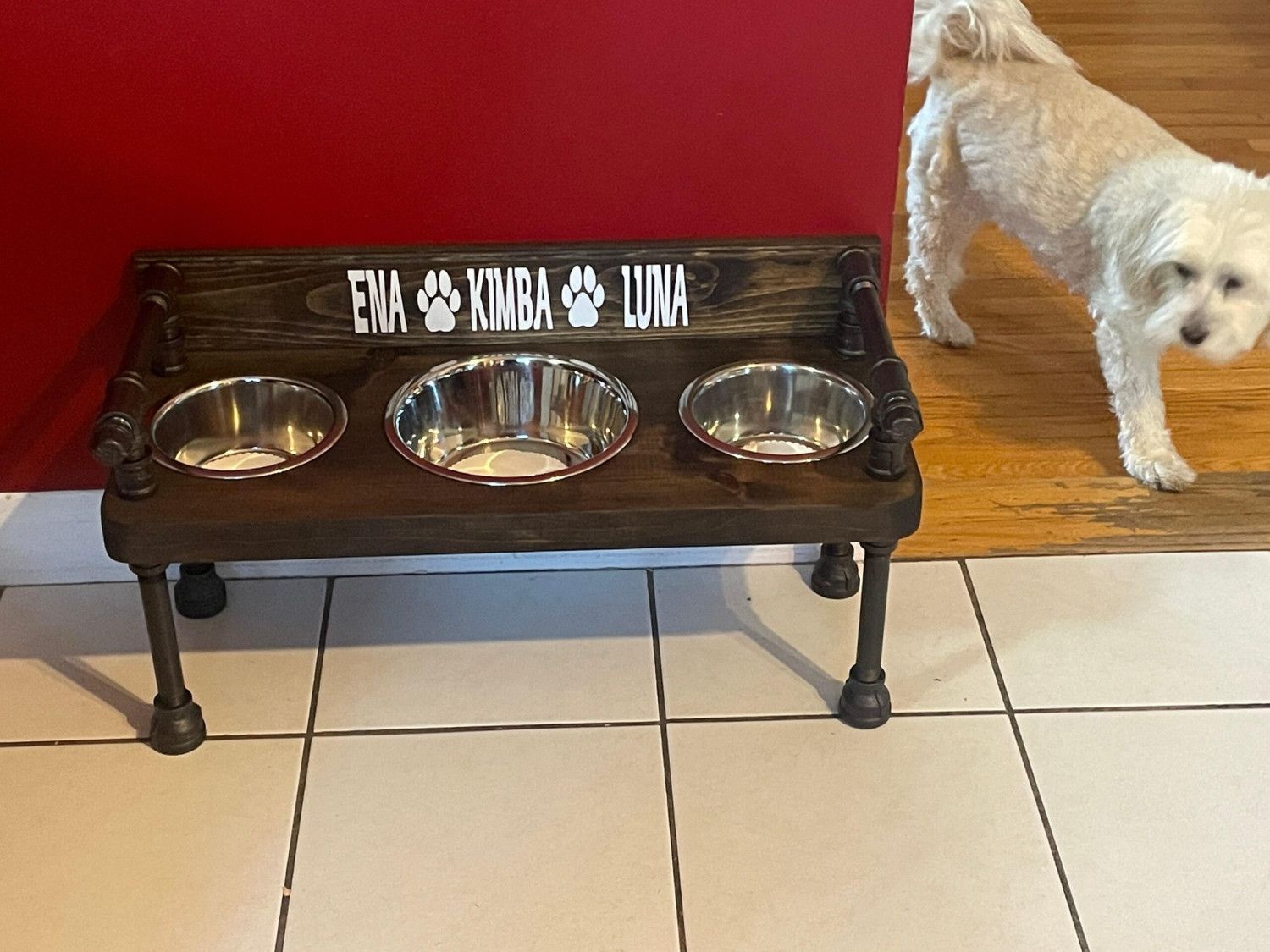 No Spill Dog Bowl Feeder: Elevated Floating Water Bowl, Industrial Style