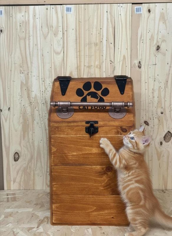 Raised Steampunk style dog bowl feeder with pressure gauge and gate valve on the handles – NEW DESIGN-Free Personalization Included