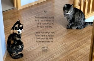 I Wish | Original Work | Digital Download