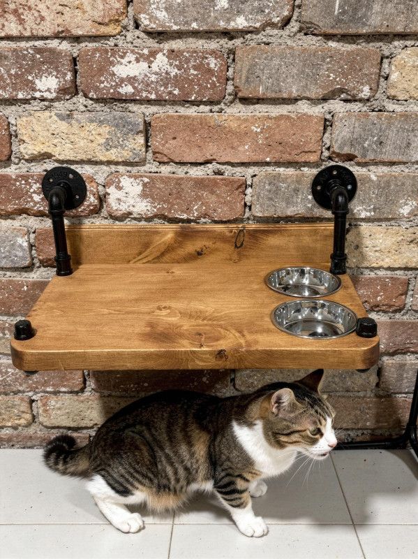 Rustic Wall Mount Cat Feeder: Handmade Kitty Feeding Station with Poly Coat
