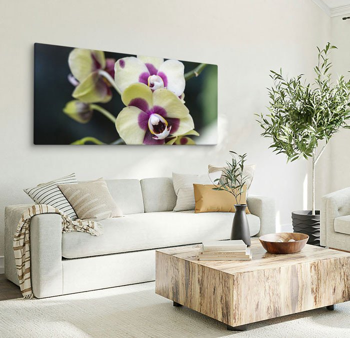 Pale Yellow Deep Secret Orchid | Canvas Wall Art