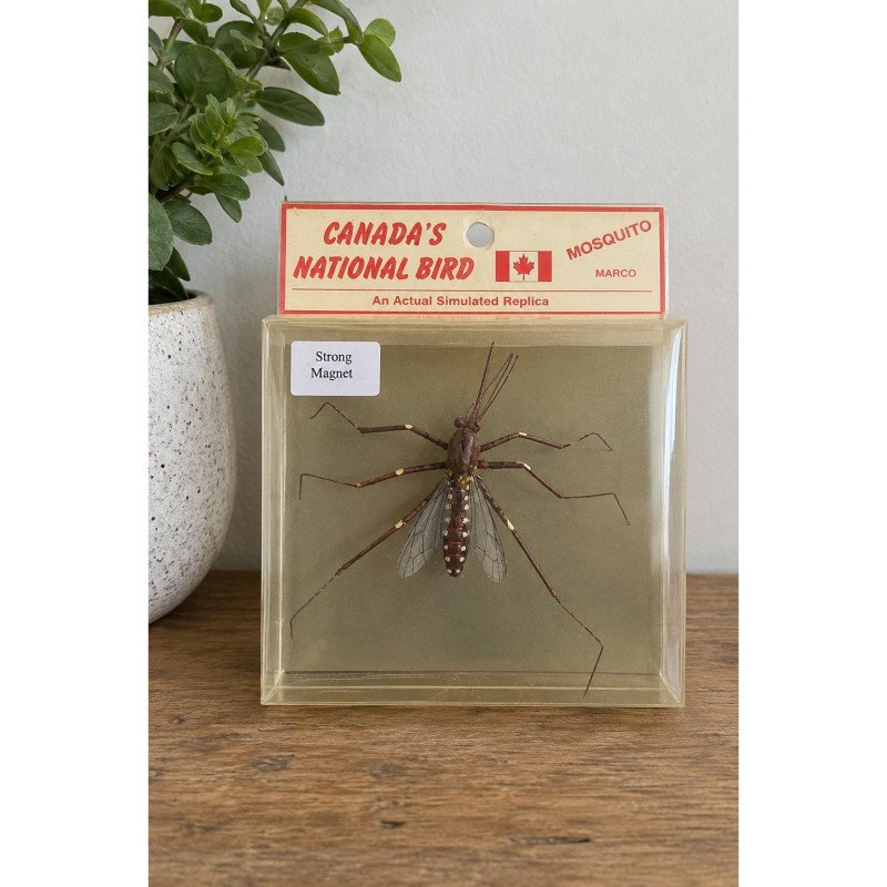 Vintage Canada's National Bird Mosquito Magnet MARCO Novelty Canadian Souvenir