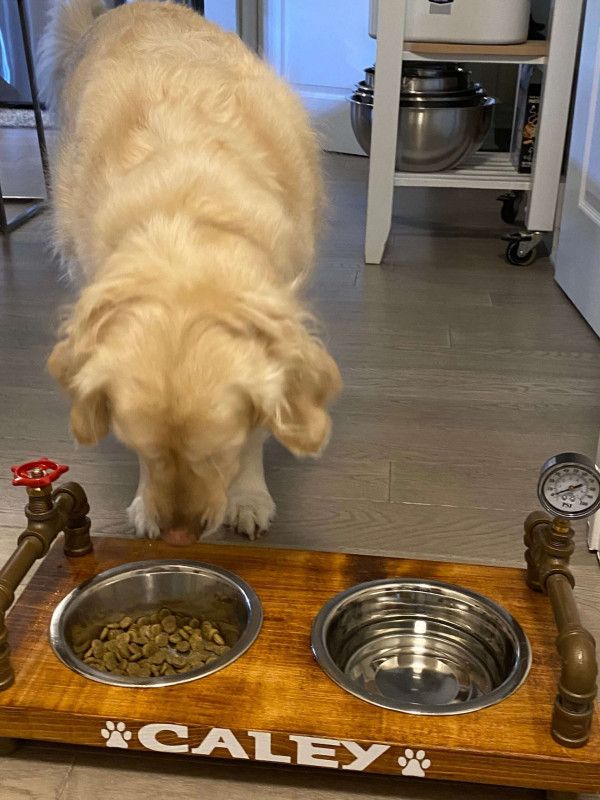 Rustic Raised Dog Bowl Feeder: Industrial Style with Backsplash