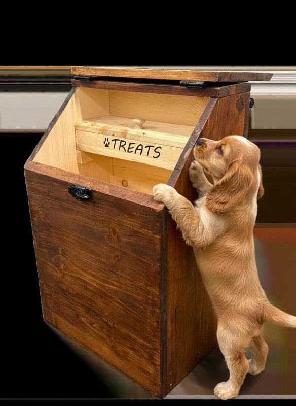 X-large wooden dog food storage bin holds 40lb bags with raw treat box inside