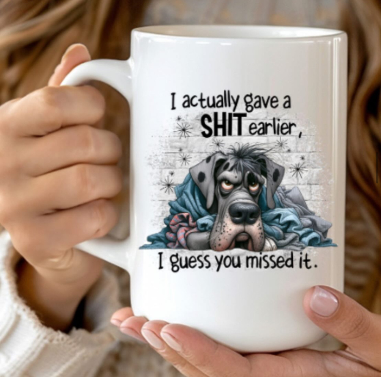 I actually gave a s*it earlier 15oz Mug