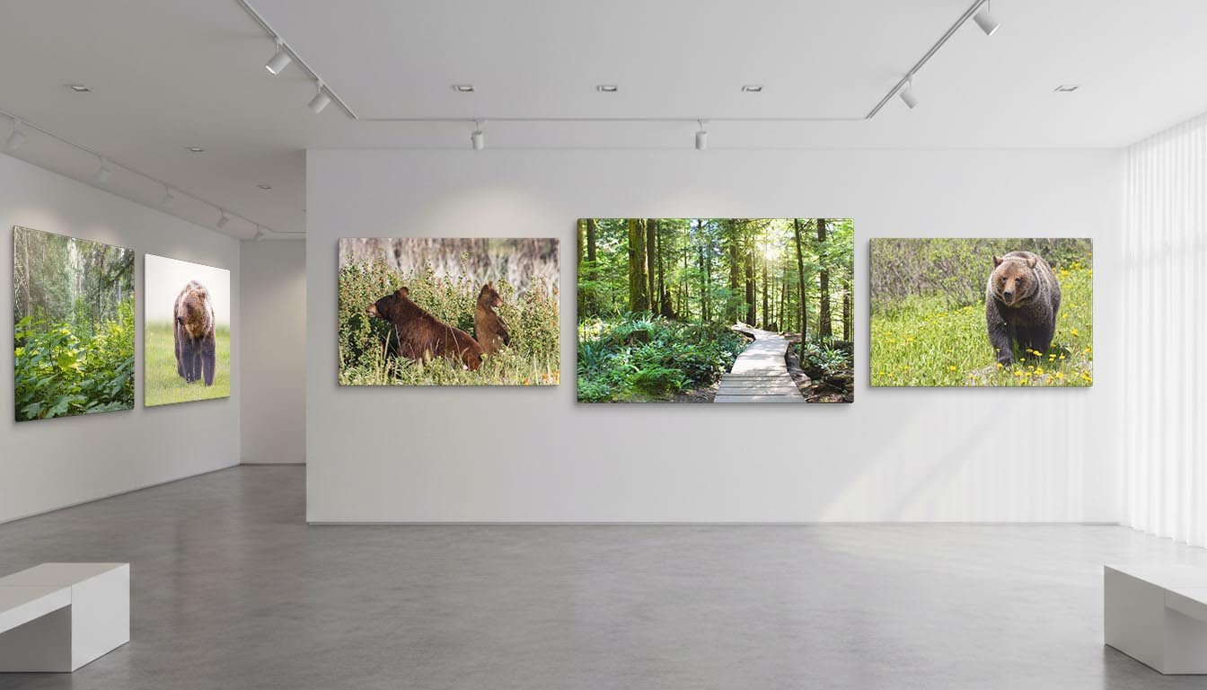 Korners Marketplace offer