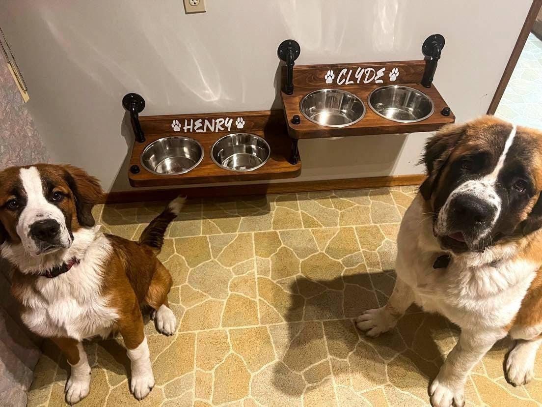 Floating Dog Bowl Feeder: Farmhouse Dual Level Design