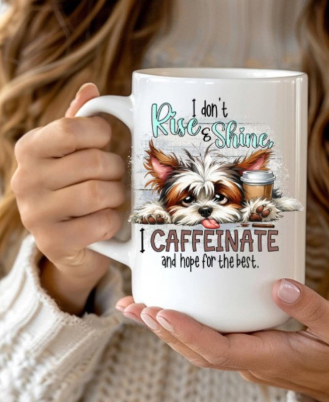 I don’t rise and shine 15oz Mug