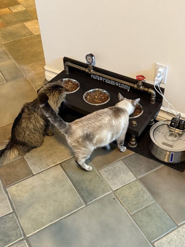 Steampunk 3 Bowl Raised Dog Feeder: Industrial Style